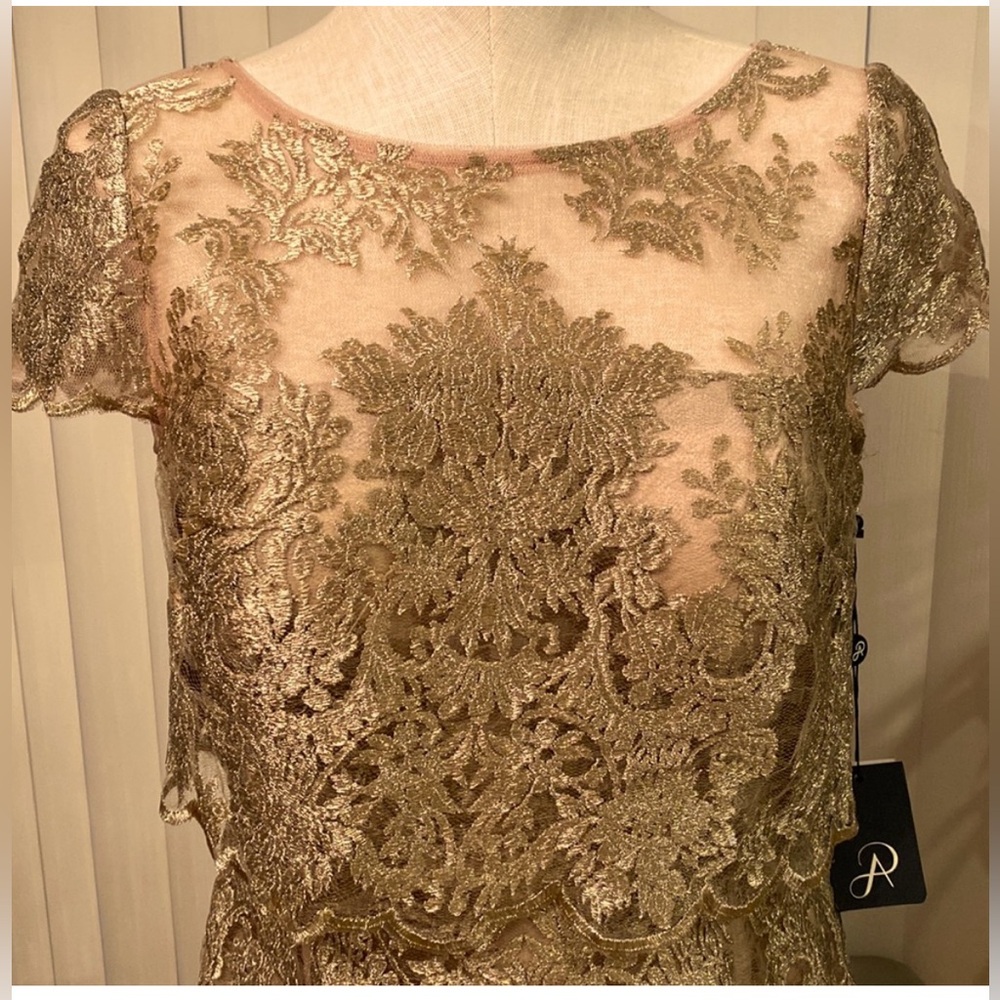 Adrianna Papell Dazzling Evening Gown Dress